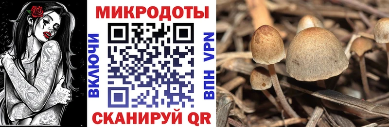 Галлюциногенные грибы мицелий  Трубчевск 